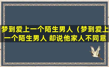 梦到爱上一个陌生男人（梦到爱上一个陌生男人 却说他家人不同意）